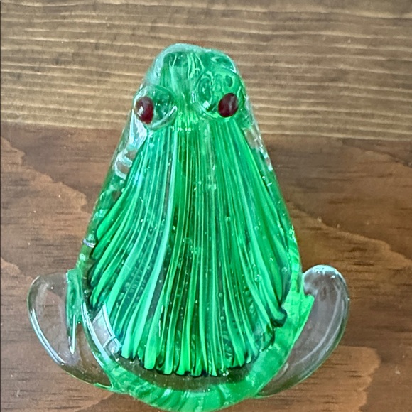 Glass Frog - Picture 5 of 9